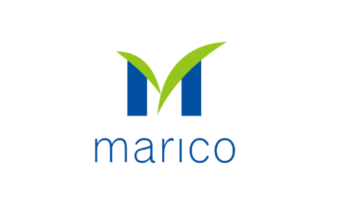 Marico Internship
