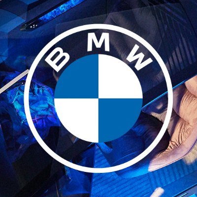 BMW Internship