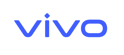 Vivo Internship