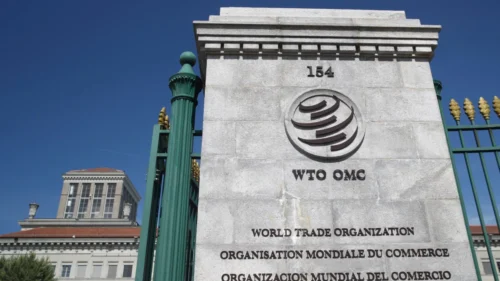 WTO Internship