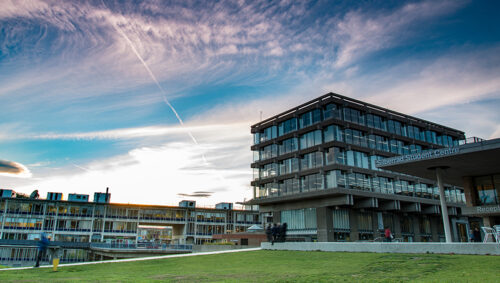 University of Essex Internship