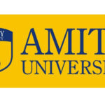Amity University Internship