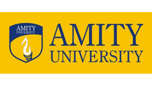 Amity University Internship