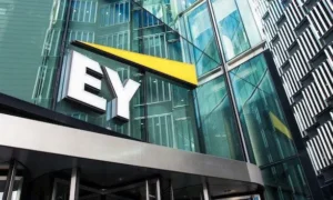EY Internship