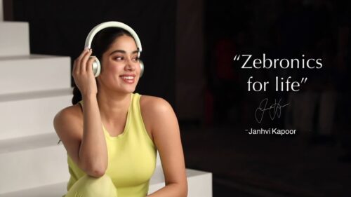 Zebronics Internship